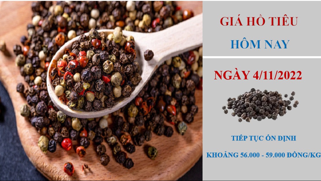 Giá hồ tiêu hôm nay 4/11/2022: Đứng yên ở mức 56.000 - 59.000 đồng/kg