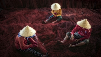 Tác phẩm "Đan lưới"