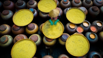 Tác phẩm "Tương bần"