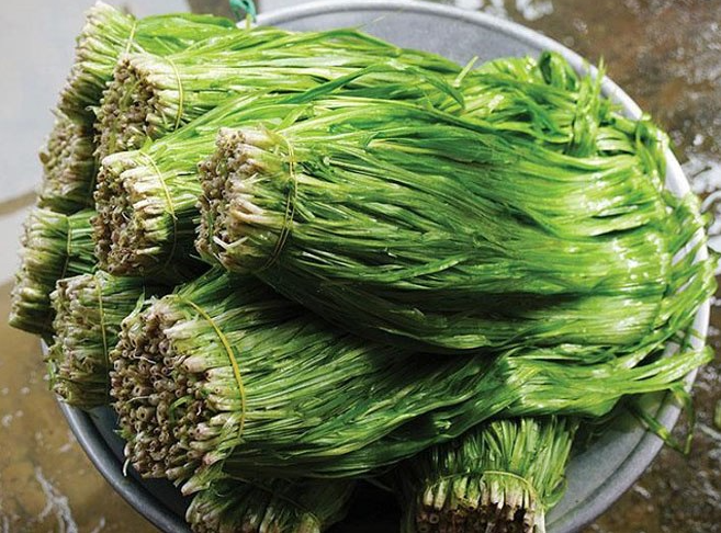 Loài cỏ dại bỗng trở thành “kho vàng” trong mùa nước nổi miền Tây