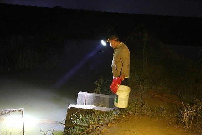 Người dân đội đèn đi bắt rươi