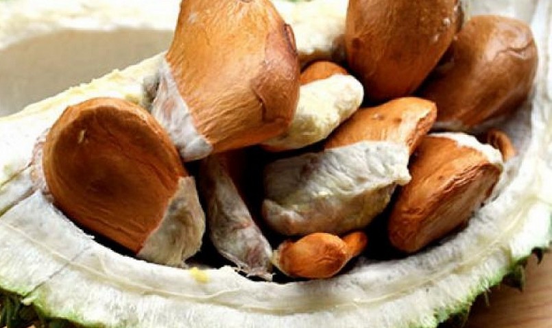 Hạt sầu riêng chứa nhiều chất đạm và vitamin.