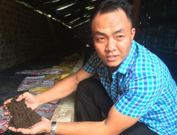 “Hoà trùn” cầm 10 triệu đi khởi nghiệp, giờ là ông chủ trang trại 18.000m2