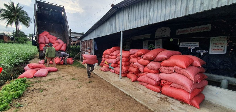 Hàng tháng, anh bán hàng tấn trùn quế và phân bón cho các nông trại Hàng tháng, anh bán hàng tấn trùn quế và phân bón cho các nông trại