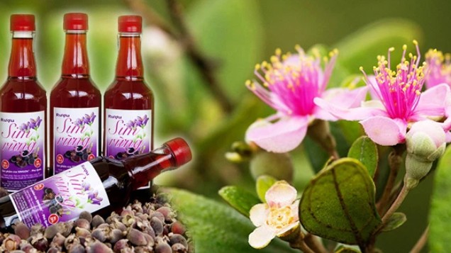 Loại quả vốn đầy rừng không ai hái, đem ngâm rượu thành đặc sản Phú Quốc