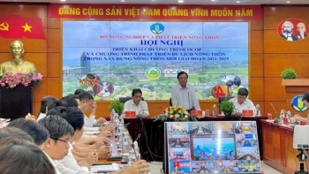 Hỗ trợ xây dựng nông thôn mới cũng cần đổi mới và sáng tạo