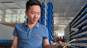 Mô hình độc đáo nuôi cua biển trong hộp nhựa cua xếp thành giàn, đánh số thứ tự