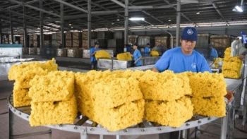 Xuất khẩu cao su quý IV sẽ tiếp tục gặp khó