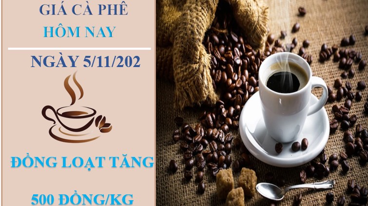 Giá cà phê hôm nay 5/11/2022: Đảo chiều tăng 500 đồng/kg