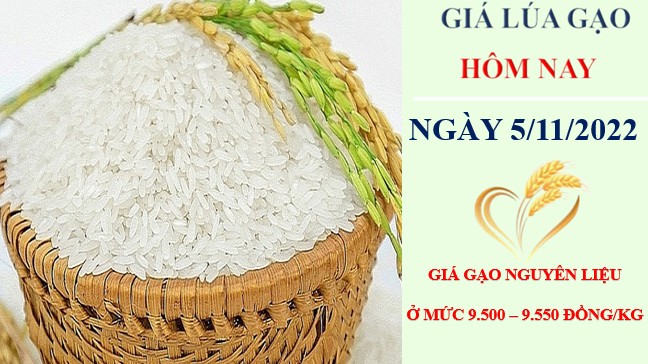 Giá lúa gạo hôm nay 5/11/2022: Giá lúa gạo neo ở mức cao