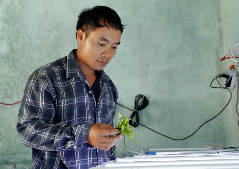 Những cây vừa chiết được đặt trong chậu, bể nhỏ.