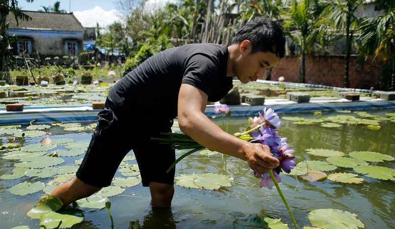 Mỗi tháng, tính doanh thu, anh Thạnh lãi hơn 30 triệu đồng.