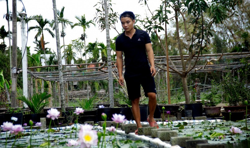 Anh Thạnh với vườn súng 600m2 của mình.