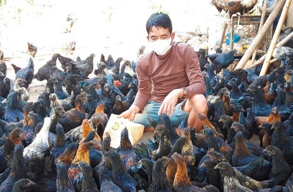 Trang trại nuôi gà của anh Pâng Trang trại nuôi gà của anh Pâng