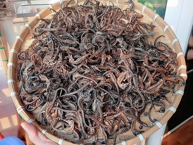 Việc buôn bán, trao đổi cá ngựa cũng là hành vi trái pháp luật theo Công ước Quốc tế về buôn bán các loài động thực vật hoang dã nguy cấp.