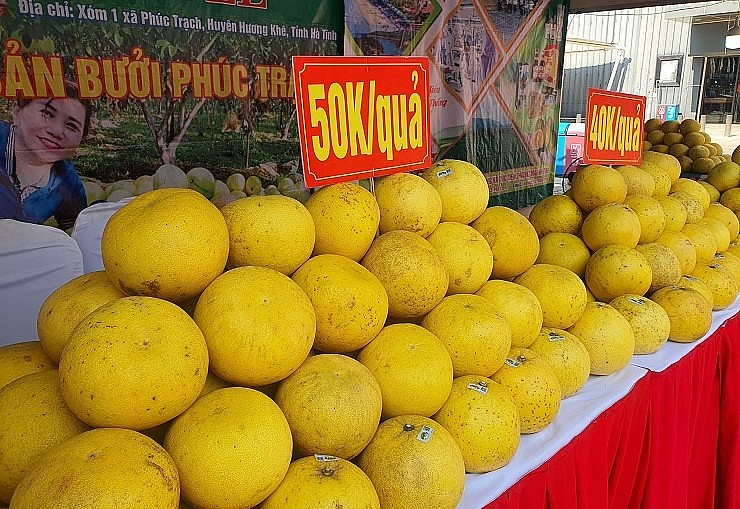 Bưởi Phúc Trạch được bày bán với giá từ 30-50 nghìn đồng/quả. Bưởi Phúc Trạch được bày bán với giá từ 30-50 nghìn đồng/quả.