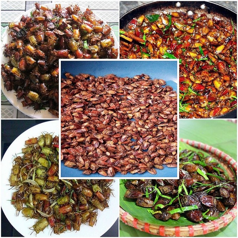 3 loài hôi hám ai cũng “né” thành đặc sản hút đại gia