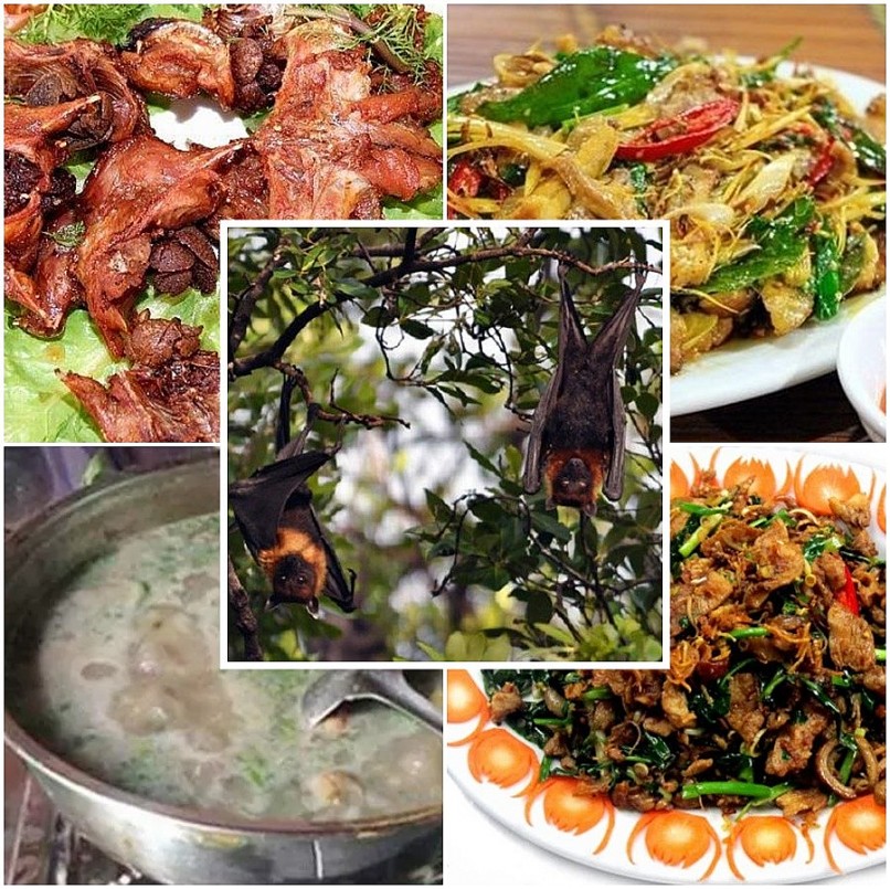 3 loài hôi hám ai cũng “né” thành đặc sản hút đại gia