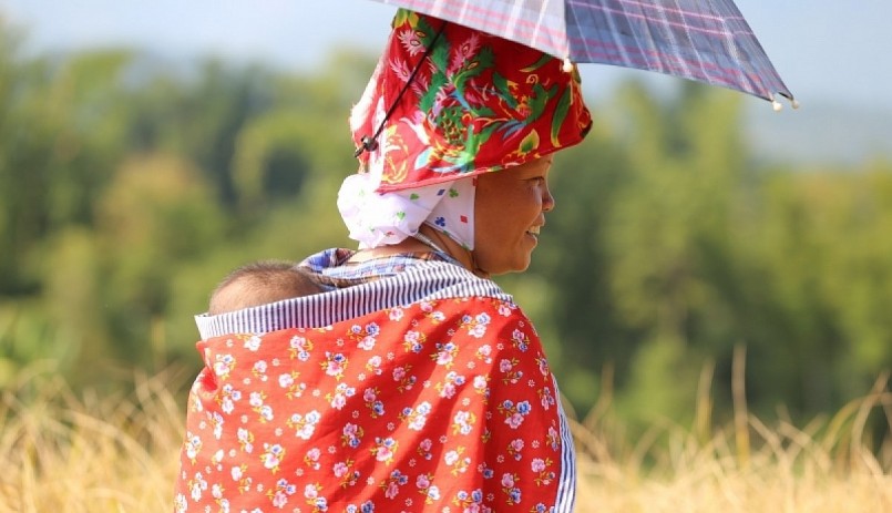 Những em nhỏ theo mẹ lên nương gặt lúa.