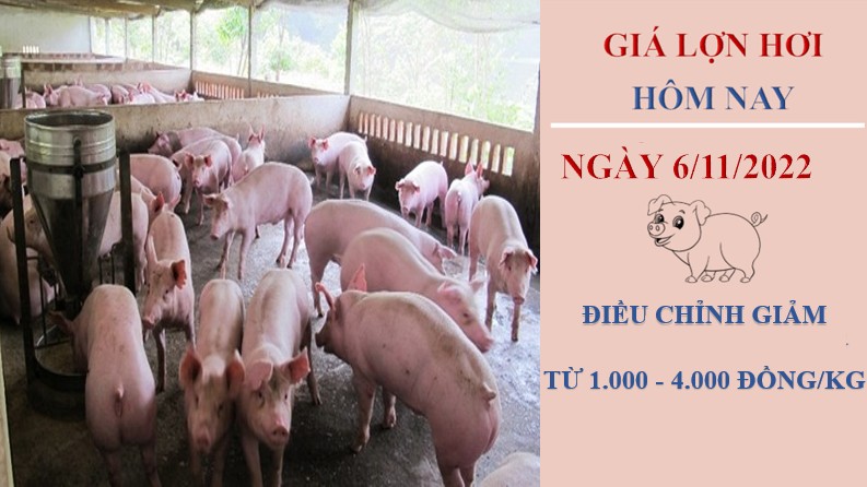 Giá lợn hơi hôm nay 6/11/2022: Xu hướng tiếp tục giảm kéo dài trong tuần tới?