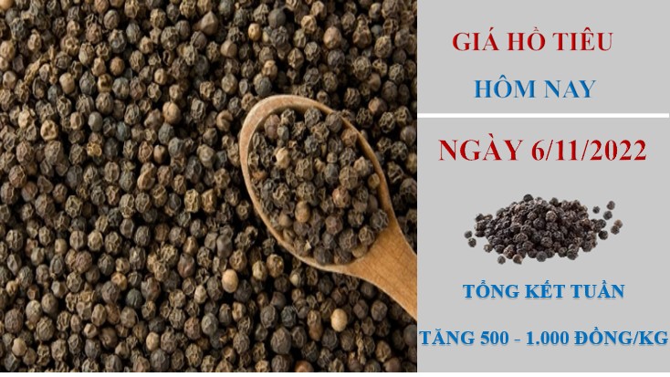 Giá hồ tiêu hôm nay 6/11/2022: Điều chỉnh tăng từ 500 - 1.000 đồng/kg