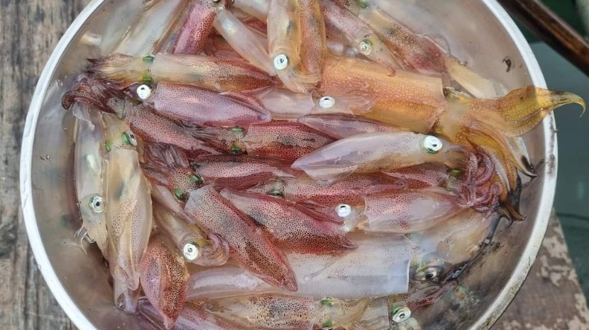 Đặc sản nhảy tanh tách trong miệng chỉ có ở Hà Tĩnh