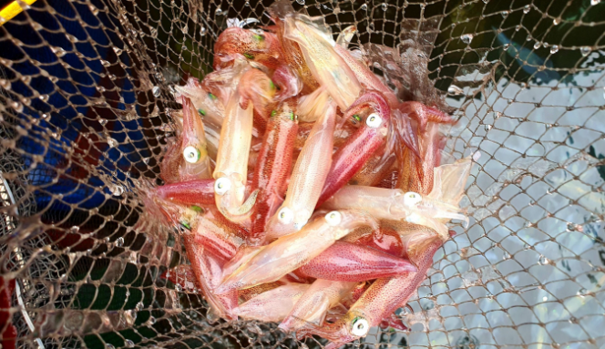 Đặc sản nhảy tanh tách trong miệng chỉ có ở Hà Tĩnh