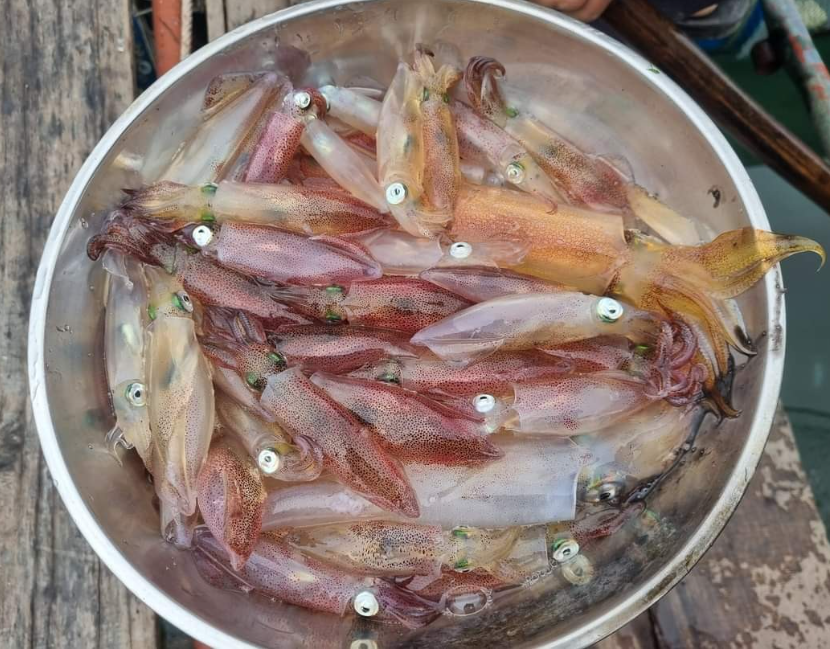 Đặc sản nhảy tanh tách trong miệng chỉ có ở Hà Tĩnh