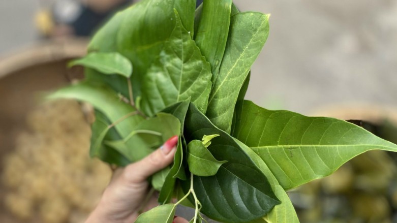 Phiên chợ lấy lá thay tiền "có một không hai" ở Tây Ninh