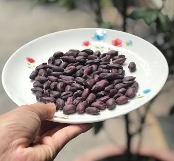 Những điều đặc biệt khiến lạc tím đen đắt gấp ba lần lạc thường