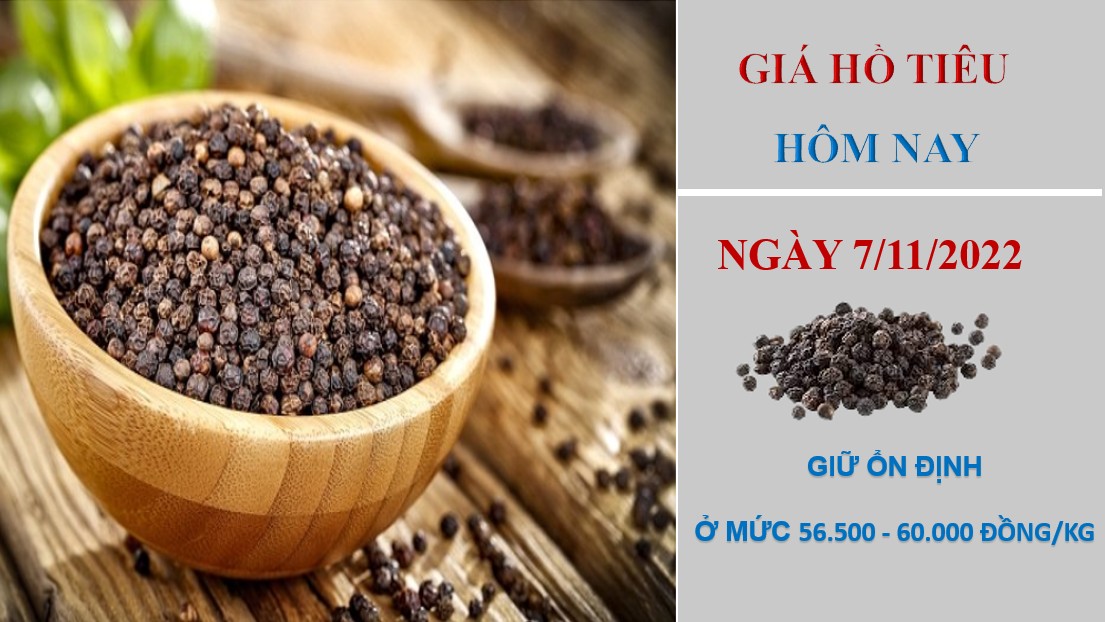Giá hồ tiêu hôm nay 7/11/2022: Giữ ổn định ở mức 56.500 - 60.000 đồng/kg
