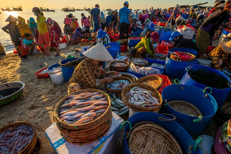 Chợ hải sản lớn nhất Quảng Nam họp vào lúc giao nhau giữa ngày và đêm