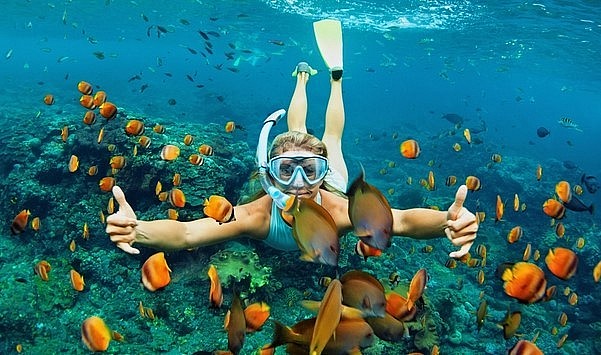 Cô Tô đang dần trở thành địa điểm ưa thích của du khách mê lặn biển.