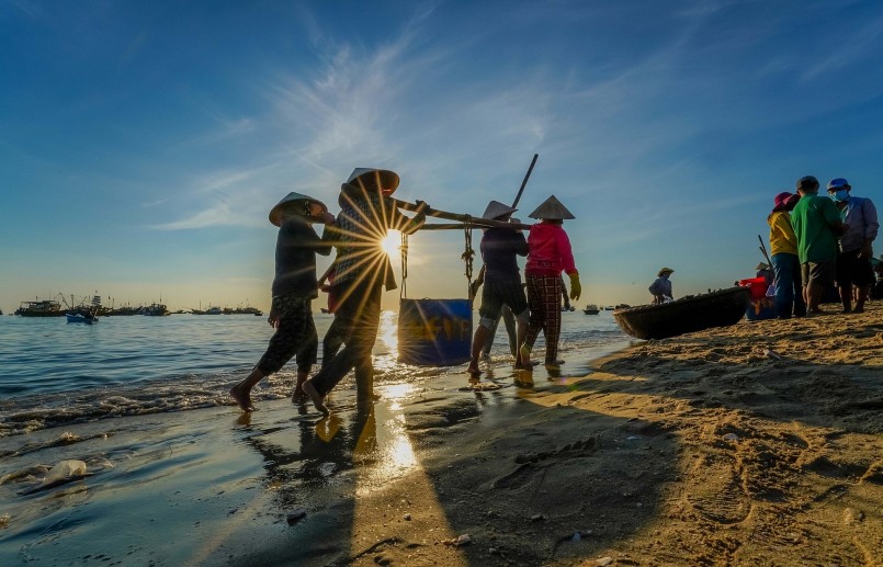 Chợ hải sản lớn nhất Quảng Nam họp vào lúc giao nhau giữa ngày và đêm