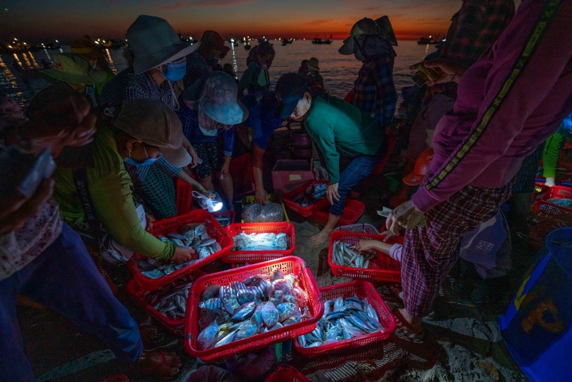 Chợ hải sản lớn nhất Quảng Nam họp vào lúc giao nhau giữa ngày và đêm