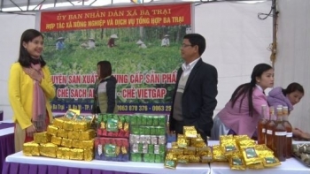 Người dân vừa thưởng thức chè, vừa du lịch làng nghề tại xã Ba Trại