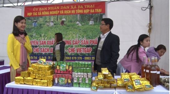 Đẩy mạnh thương hiệu chè Ba Trại gắn với OCOP