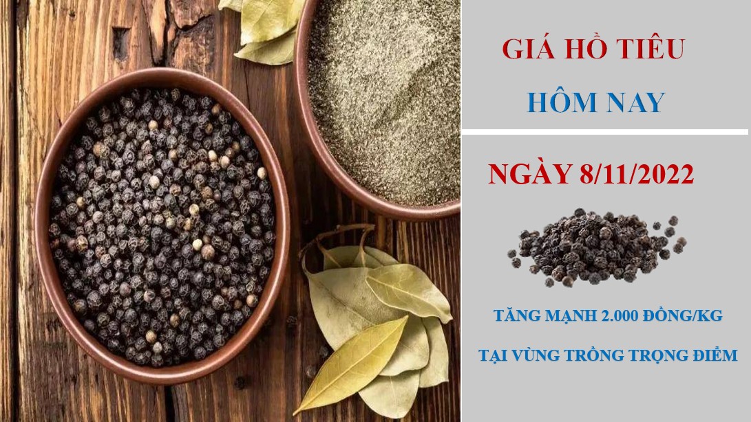 Giá hồ tiêu hôm nay 8/11/2022: Tăng mạnh tại vùng trồng trọng điểm