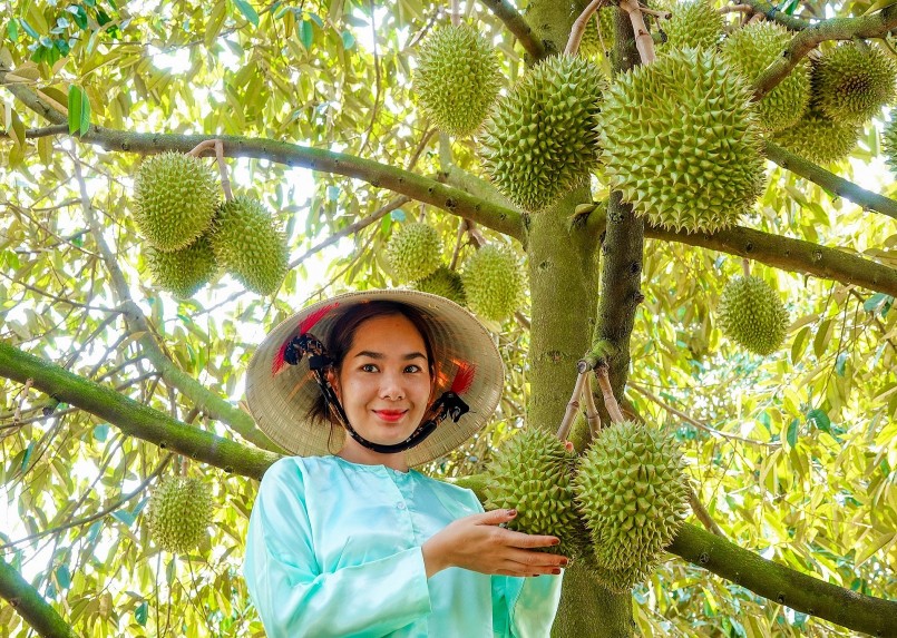 Trung Quốc sẵn sàng có cơ chế mở luồng xanh nhập khẩu sầu riêng từ Việt Nam.