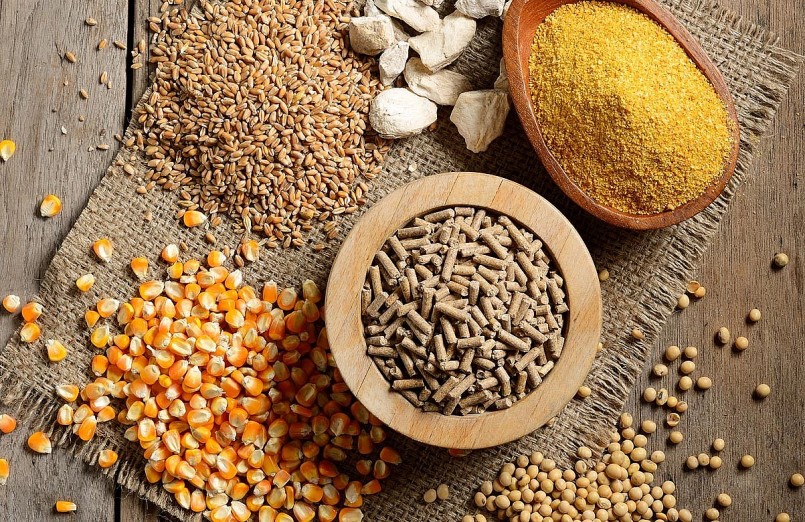 Năm 2021, Việt Nam cũng đã chi tới gần 5 tỷ USD để nhập khẩu nguyên liệu và TACN.