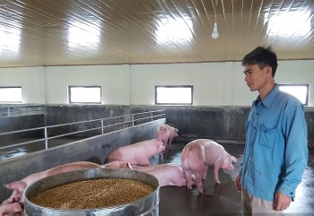 Xuất 3 tỷ USD lúa gạo, nhập 6 tỷ USD thức ăn chăn nuôi, bão giá đến bao giờ?