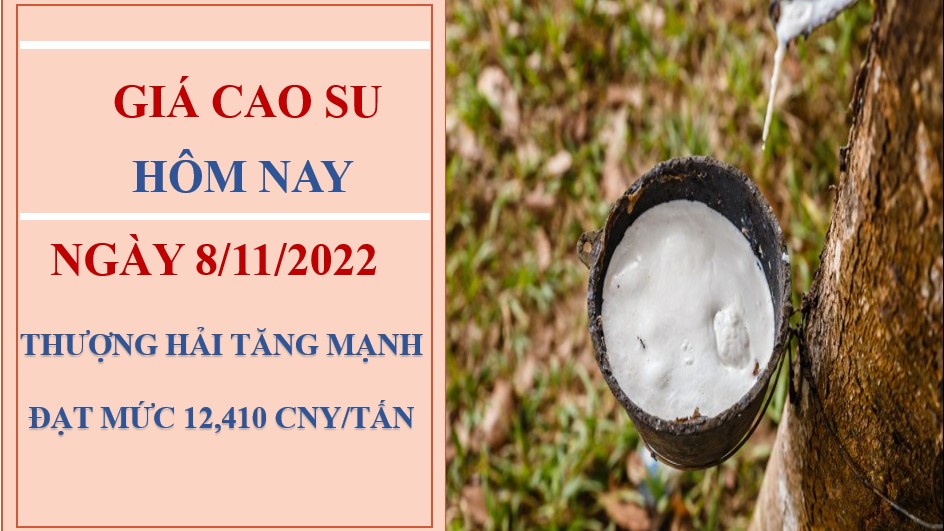 Giá cao su hôm nay 8/11/2022: Tiếp đà tăng tại các sàn châu Á