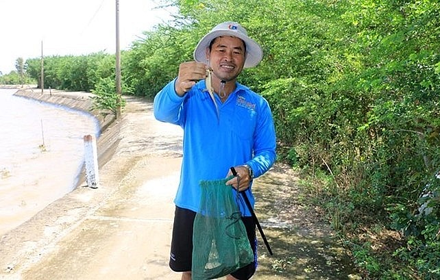 nghề săn rắn mối, mang lại nguồn thu nhập đáng kể cho gia đình trong mùa lũ.