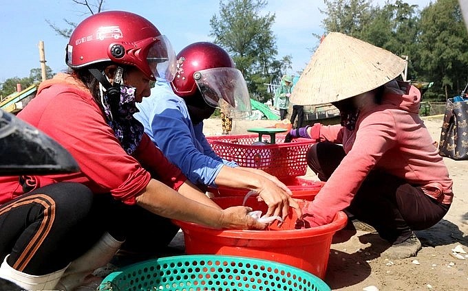 Đầu mùa nên thương lái tranh nhau mua cá khoai.