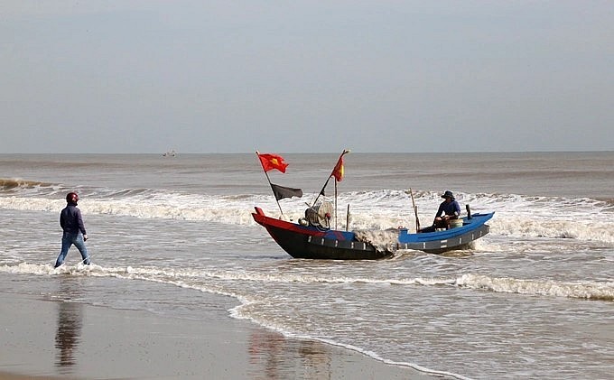 Đang bước vào mùa cá khoai.