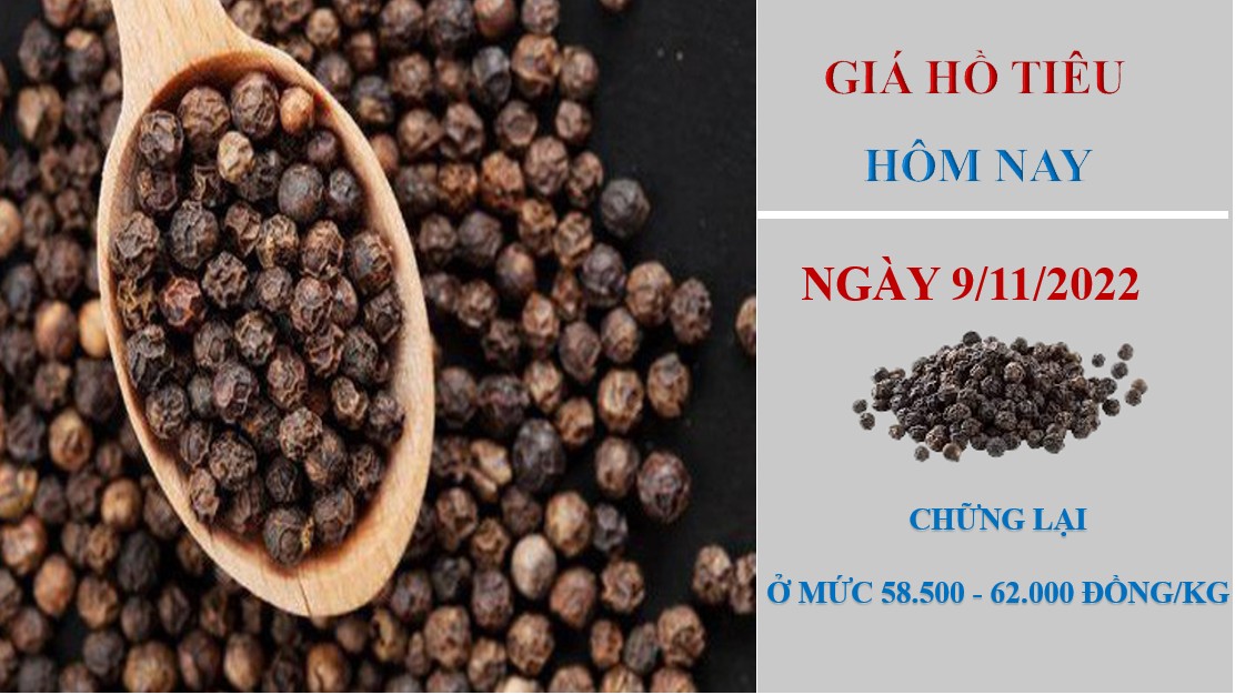 Giá hồ tiêu hôm nay 9/11/2022: Chững lại ở mức 58.500 - 62.000 đồng/kg