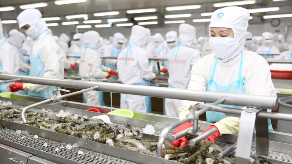 Mở rộng xuất khẩu thủy sản sang thị trường ngách