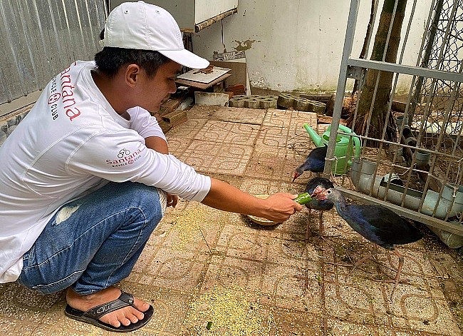 Chim trích cồ nhân giống được bao nhiêu được đặt mua hết đến đó.