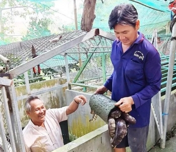 Nuôi con ai cũng khiếp, diễn viên nhí phim “Cánh đồng hoang” trở thành tỷ phú chân đất