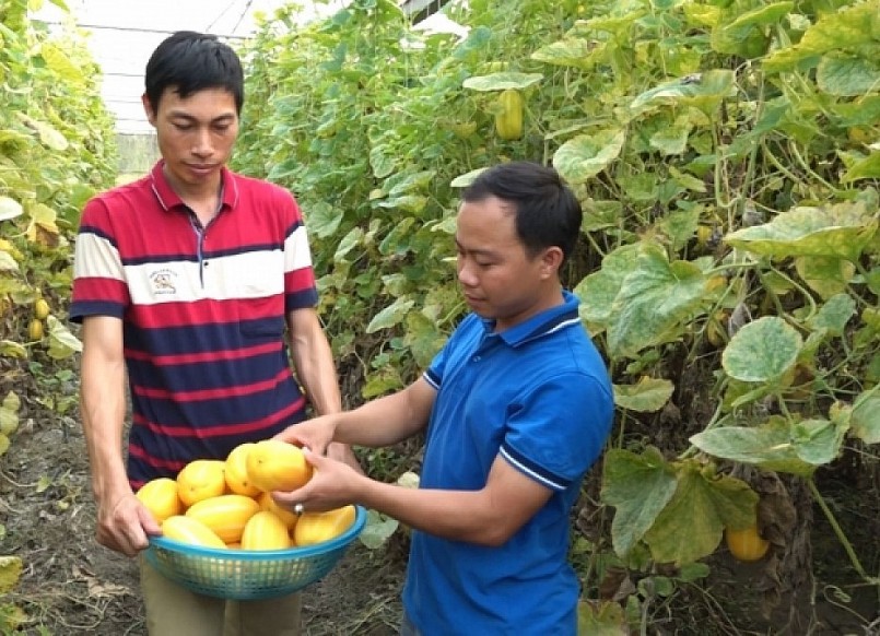 Lục Vân Anh (bên phải) đang xem xét, đánh giá sản phẩm của HTX.